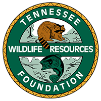 Tennessee Water Resources Agency